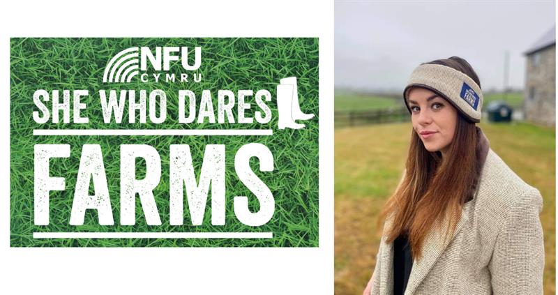 SWDF - Headband_75368