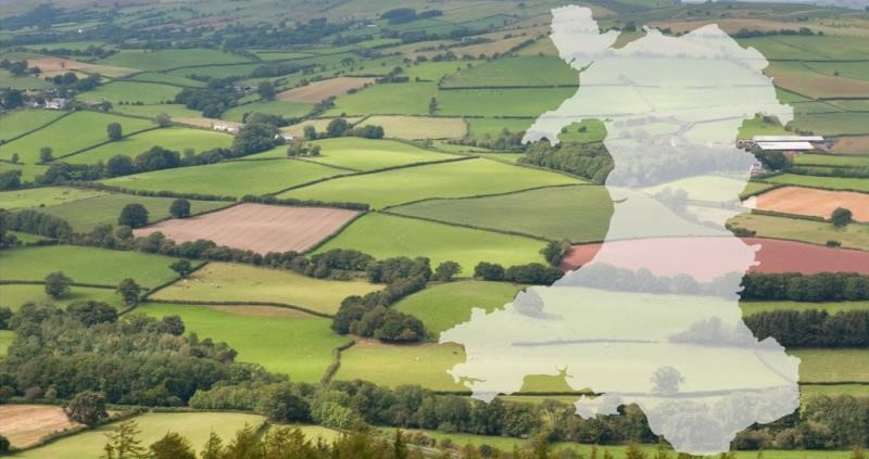 Welsh farmland - resized for web_50124