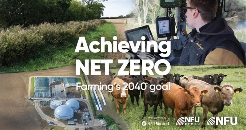 Achieving Net Zero report cover image_68792