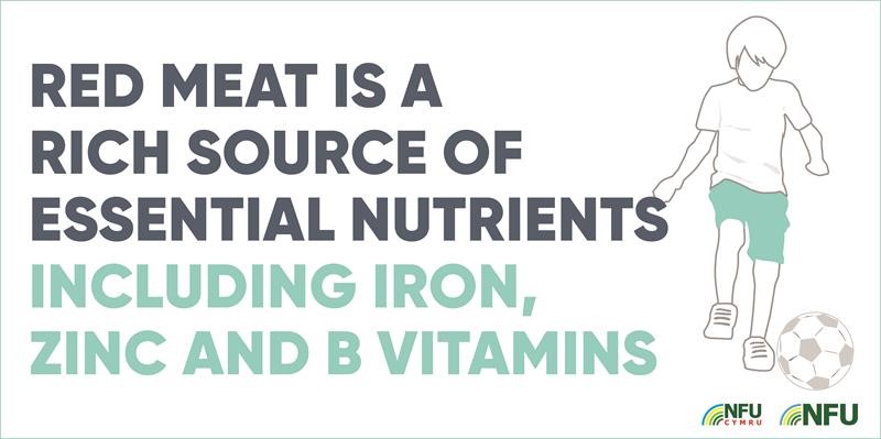 Red meat source of nutrients infographic_70613