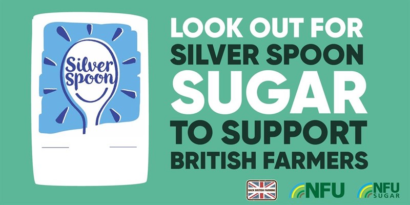 Silver spoon sugar infographic_75022