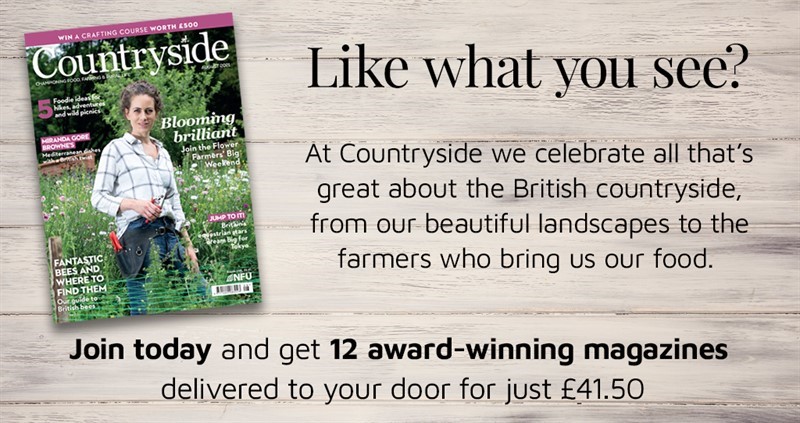 Countryside magazine advert for Countryside Online_80030
