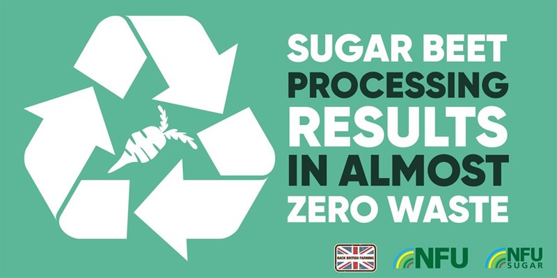 Zero waste sugar infographic_75018