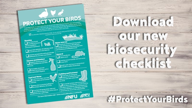 Promotional image for public biosecurity checklist_82555