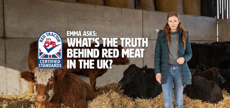 Red Tractor campaign on beef and lamb_76894