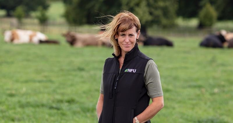 NFU President Minette Batters in a field with cows in the background