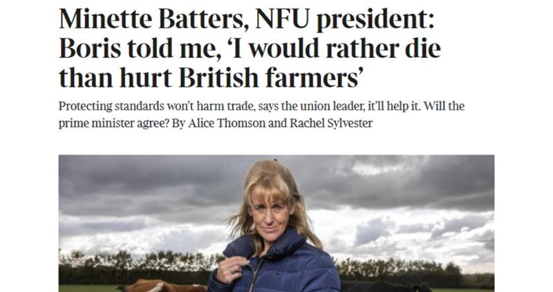 The Times Minette Batters _75277