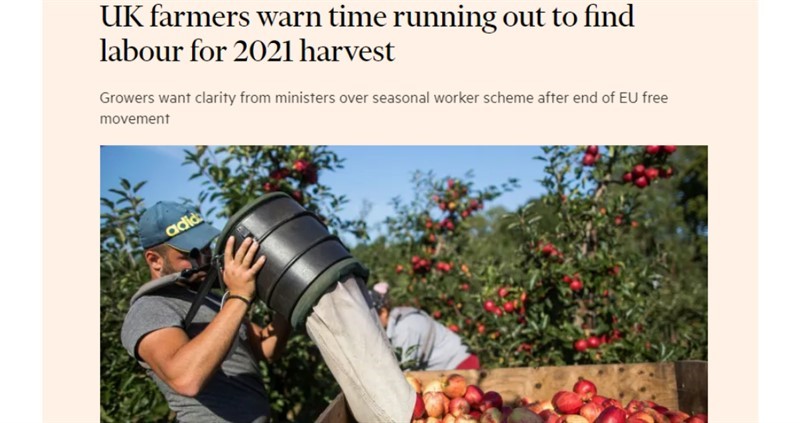Financial Times, seasonal labour_75821