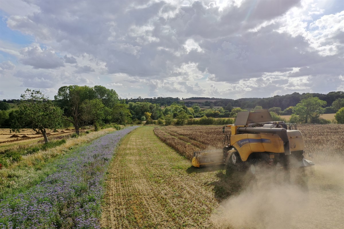 Midlands Photo Competition best harvest