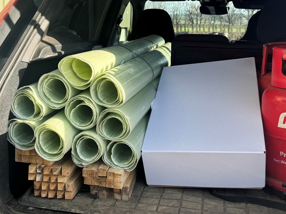 Midlands tree giveaway