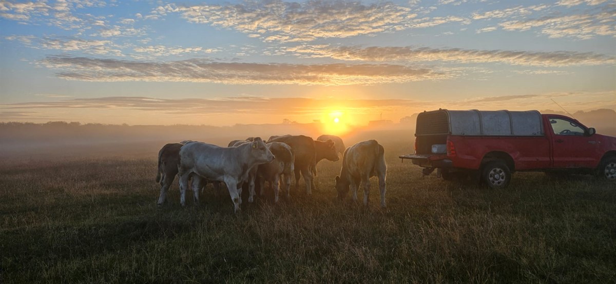 Midlands Photo Competition best sunrise