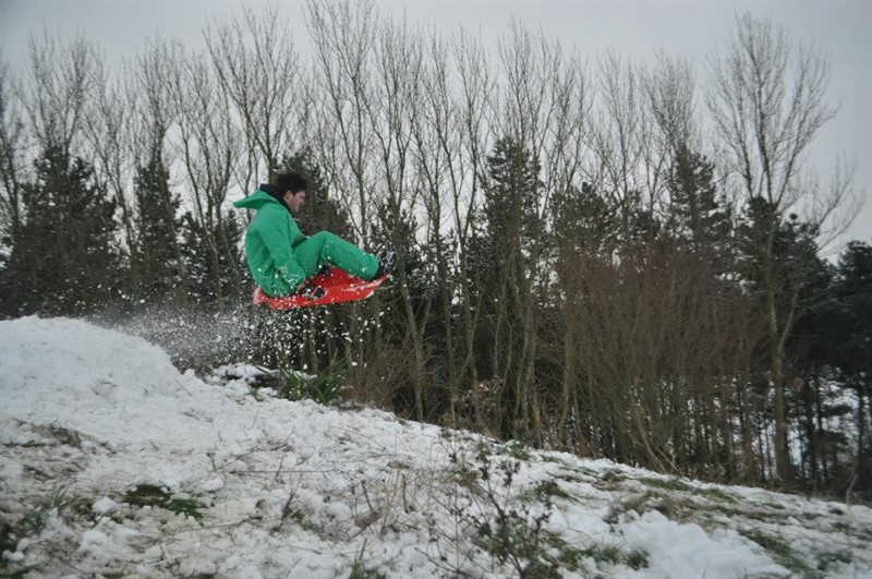 Midlands Photo Competition winner best life on farm