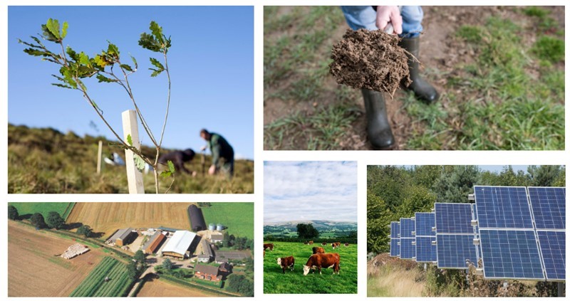 Climate Change Mitigation - Agriculture's opportunity to shape and prepare for the future