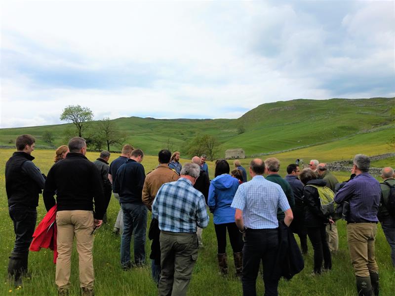 People gathered in farm field