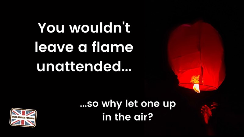 you wouldn't leave a flame (1).png_84577