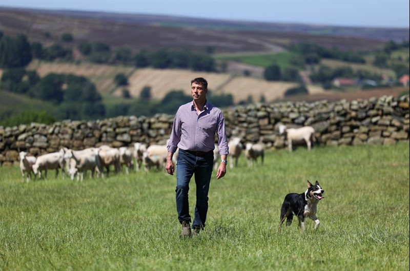 Richard Findlay walking through fields on his hill farm with sheep and dry-stone walls in the background