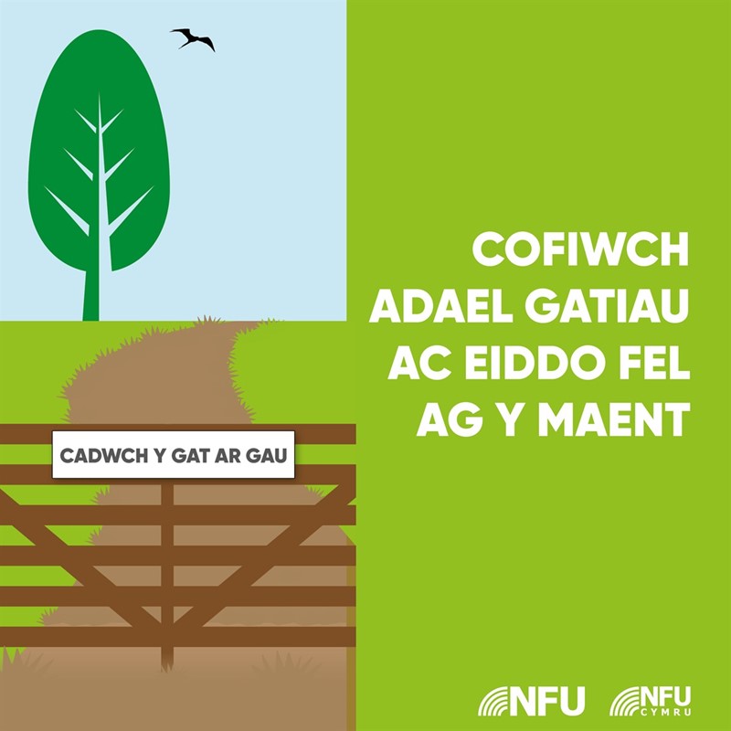 Remember to leave gates and property as you find them infographic - WELSH