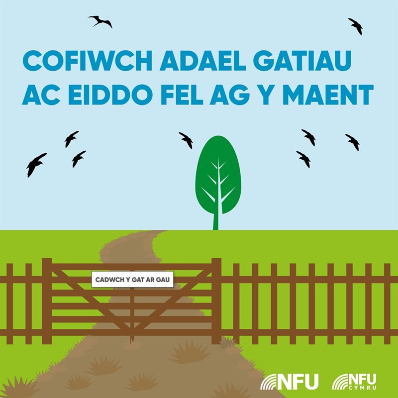 Remember to leave gates and property as you find them infographic 2 - WELSH