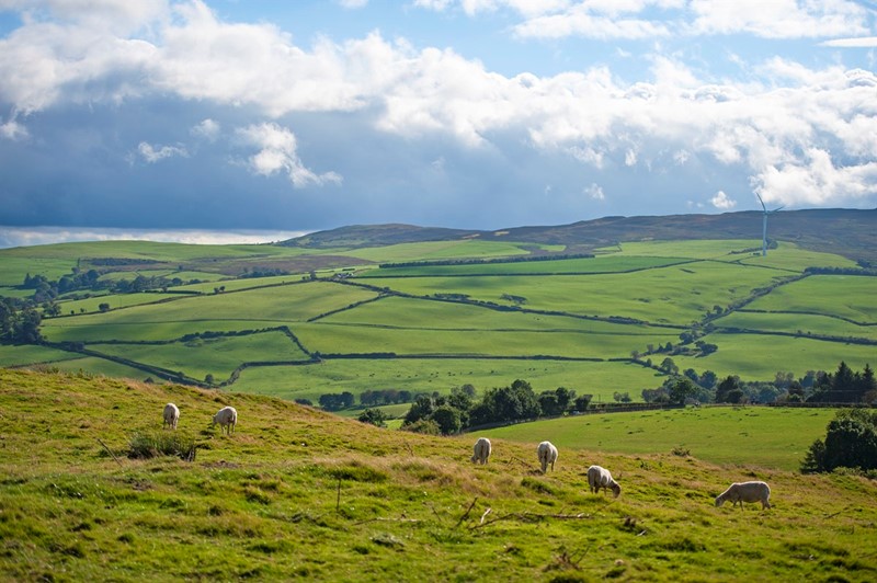 View of Welsh farmland