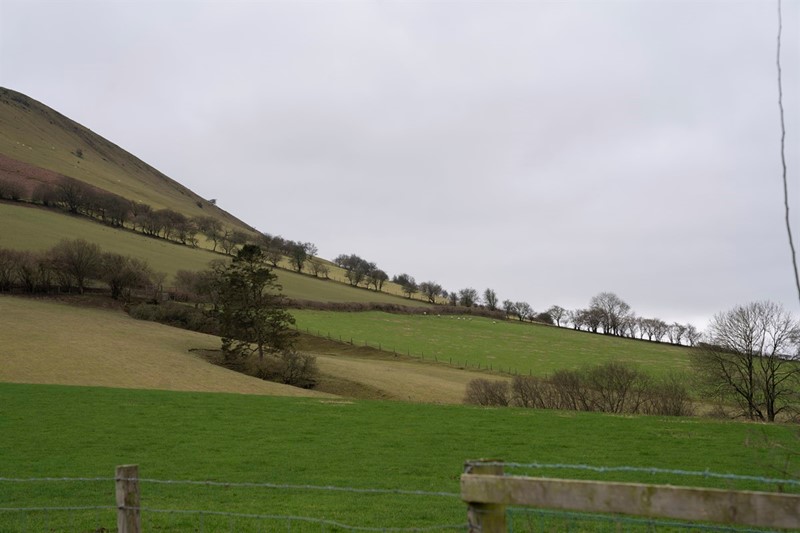 Welsh farm