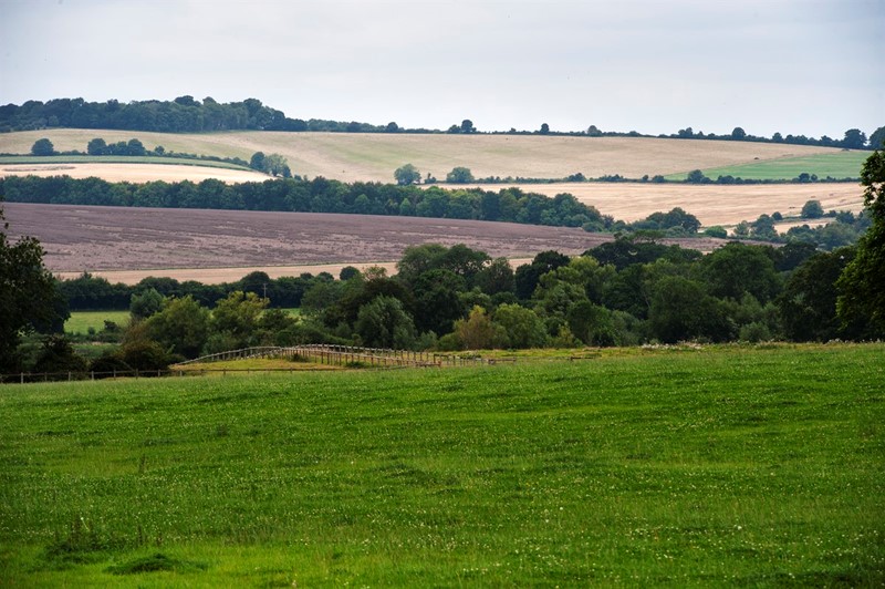 An image of a farming landscape