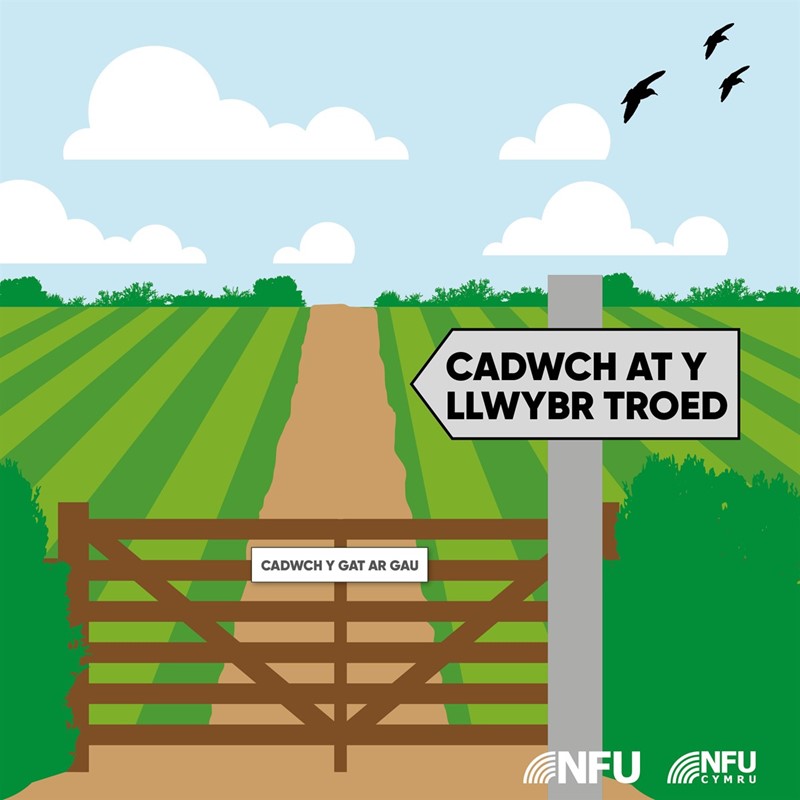 Keep to the footpath infographic - WELSH