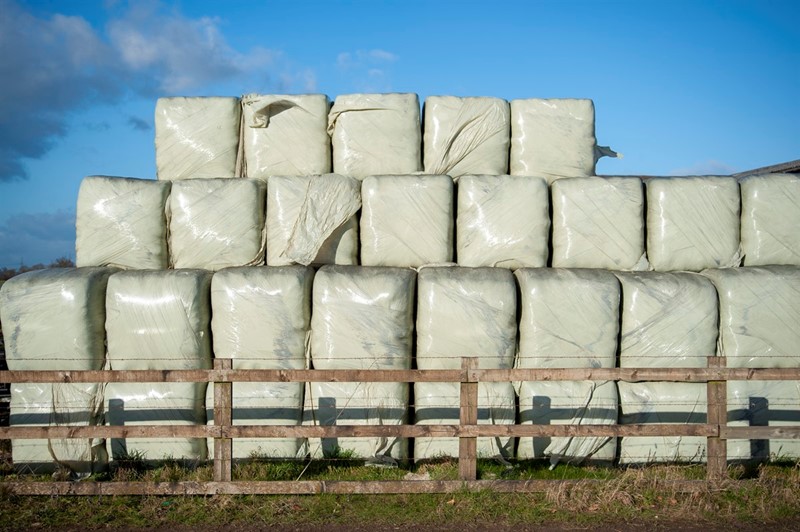 wrapped bale silage 01_82468