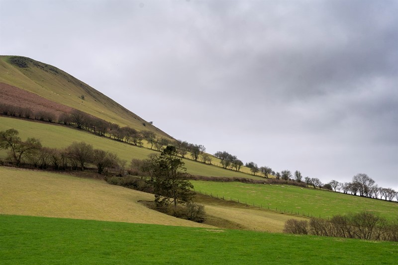Hillside in Wales
