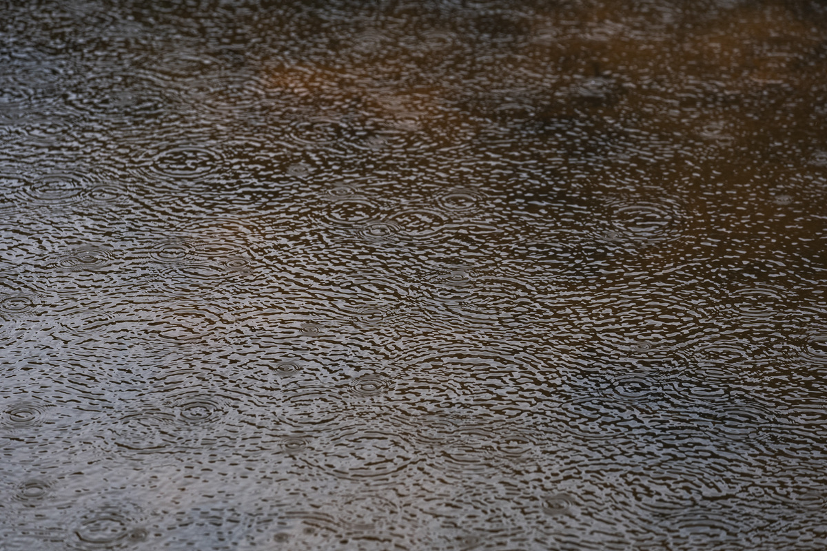 Rain droplets on a body of water