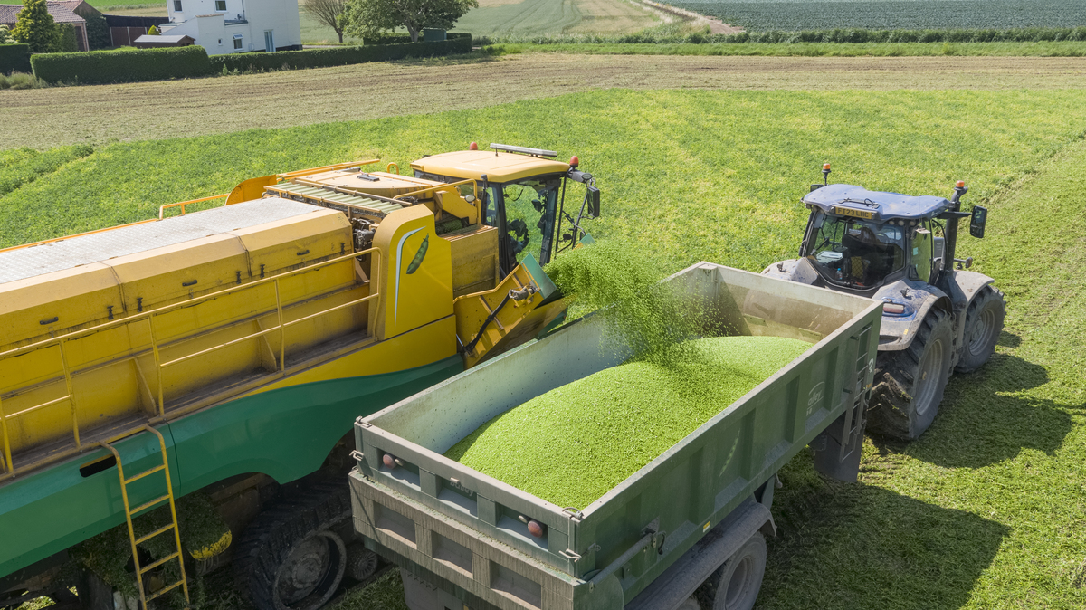 EU publishes Protein Plan to reinforce EU Food Security