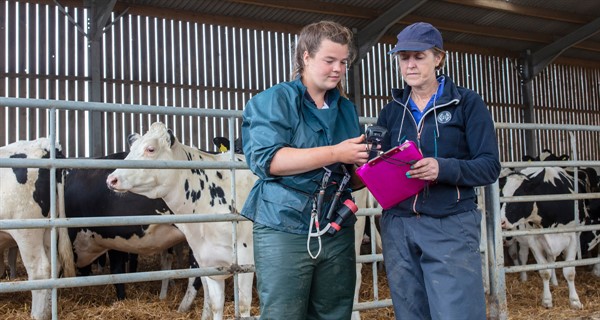 Sealy vet with farmer