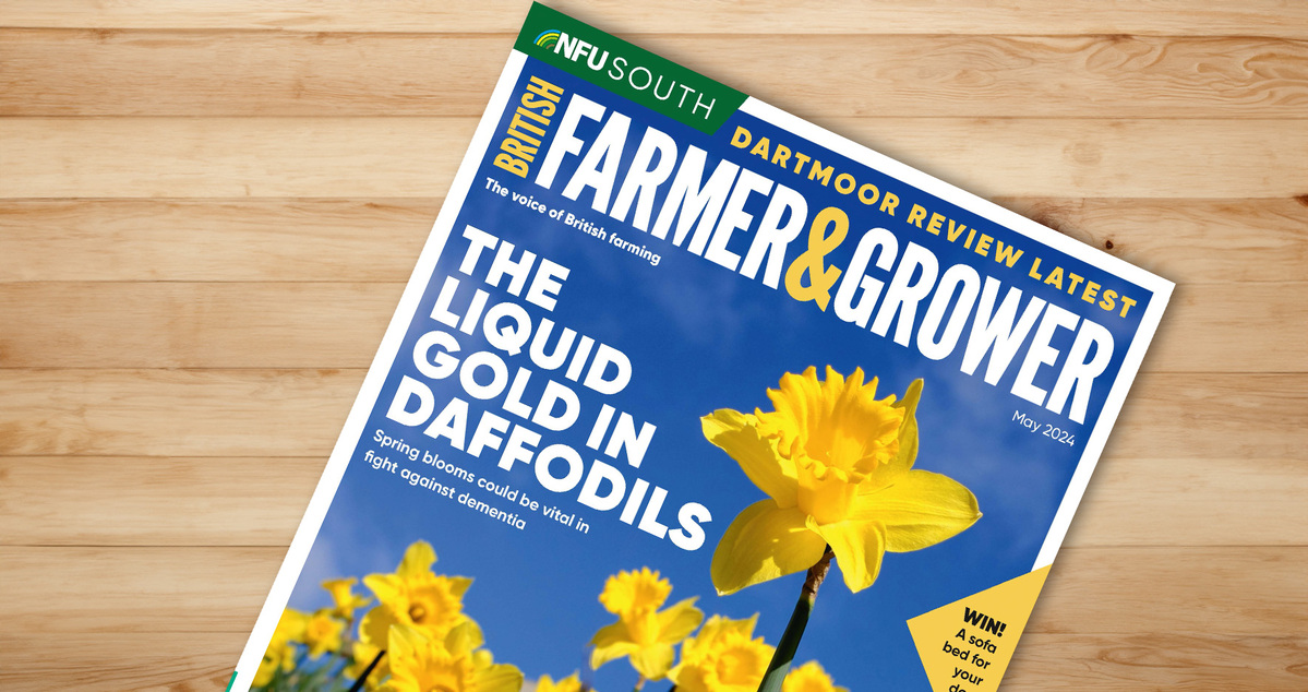 F&G-Magazine-on-Desk