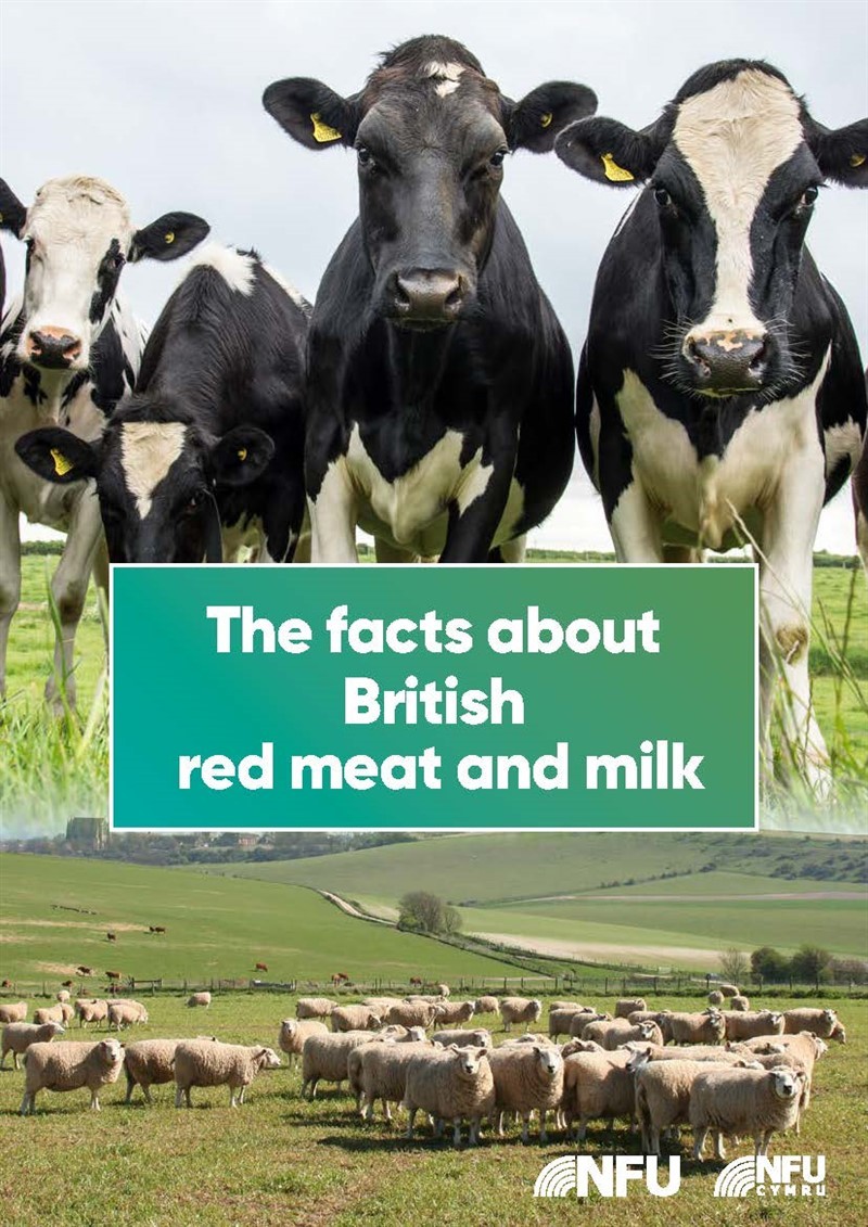 The facts about meat and milk cover_82521