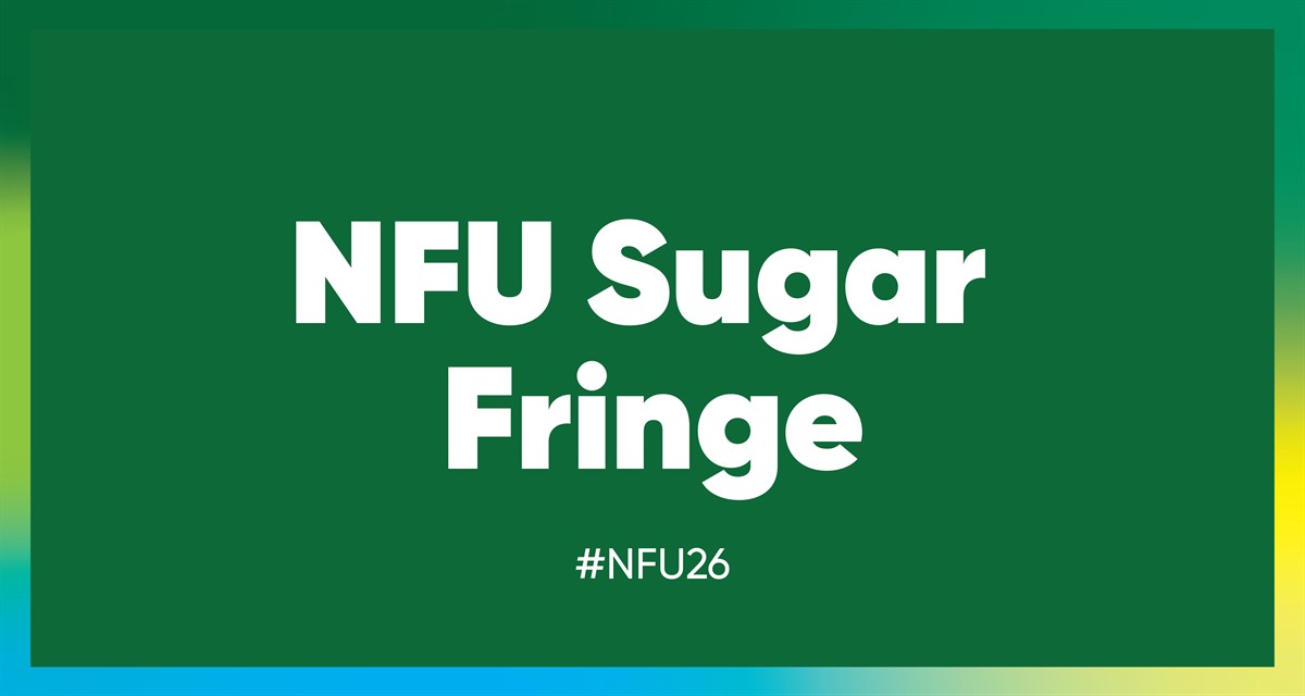 NFU Sugar Fringe #NFU26