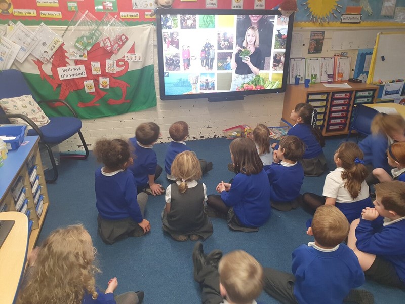 A picture of a class of schoolchildren watching our Harvest Live lesson.