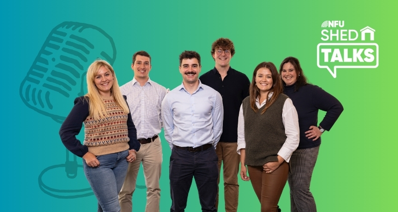 Shed Talks promotional graphic with all the hosts