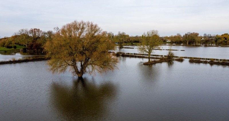 Flooded fields with trees and hedges under water