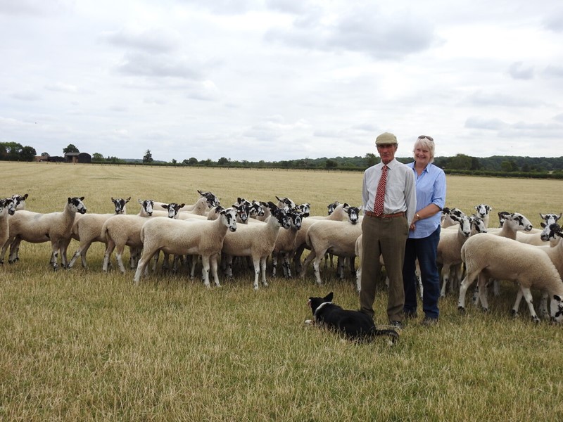 David and Barbara Seamark and their sheep