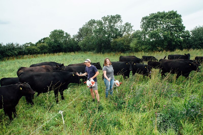 Sam and Kate Squier with their cattle
