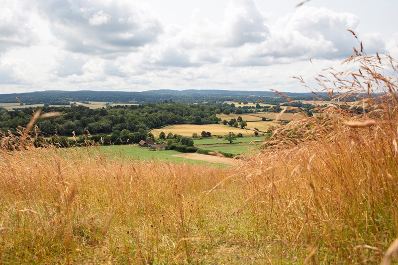 Farming landscape with grasslands and woodlands