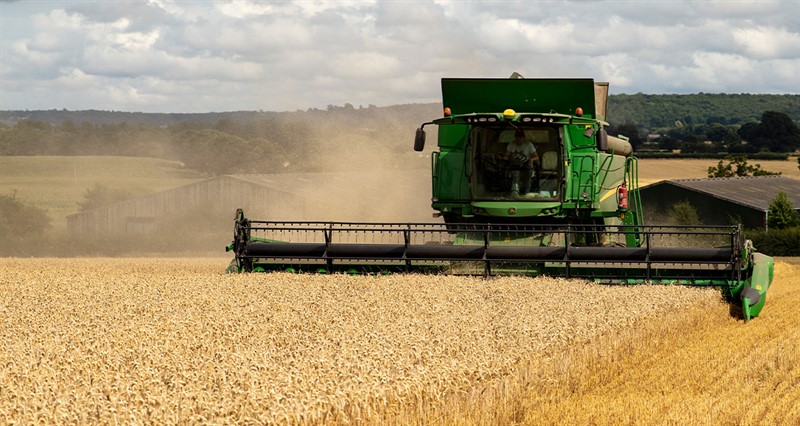 Harvest in New Zealand