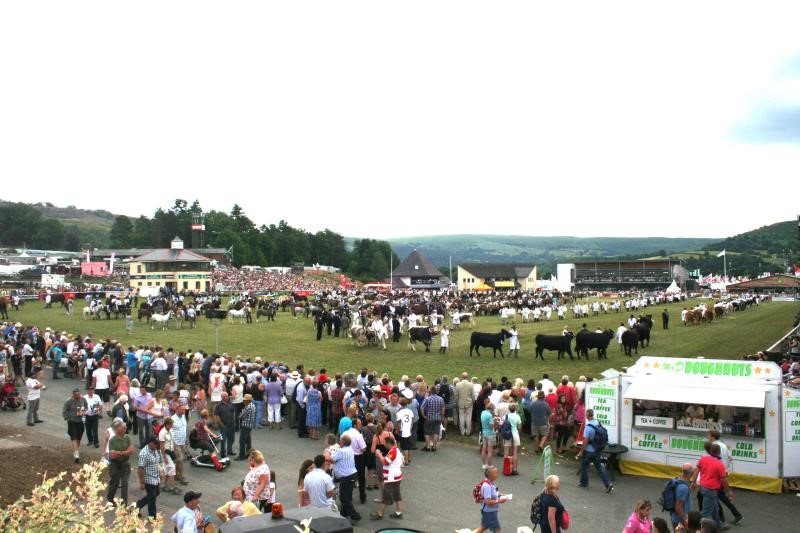 Picture of the Royal Welsh Showground main ring during show week
