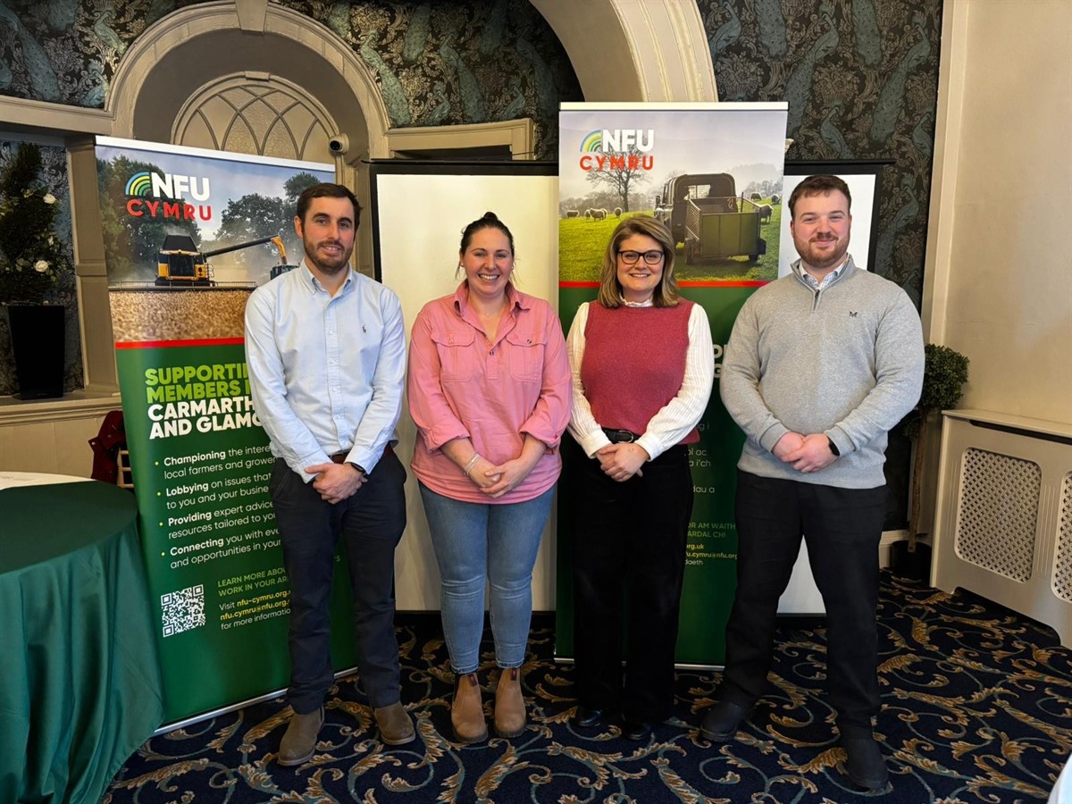 Pictured (L-R) is Tom Rees, Katie-Rose Davies, Tori Morgan and Joe Rees Jones