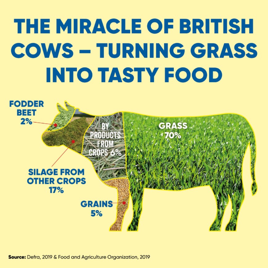 Source: Cattle Farm Practices Survey 2019, Defra & Global Livestock Environmental Assessment Model 2019, Food and Agriculture Organization