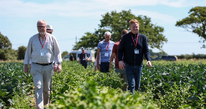 MPs get stuck in on farm visit and hear pressures facing UK growers