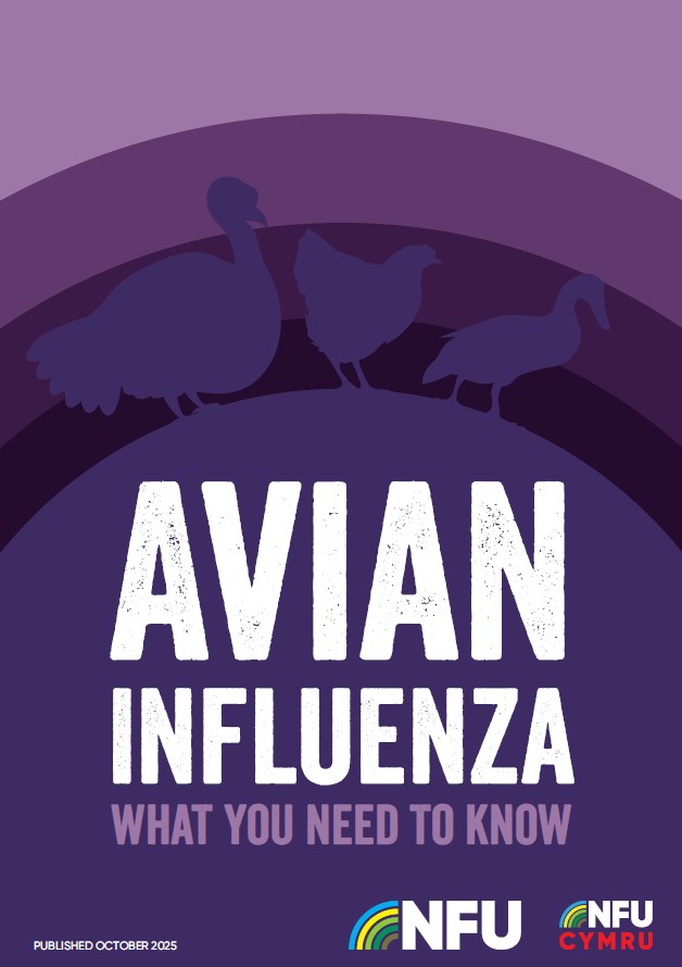 AI disease management – "Purple book"