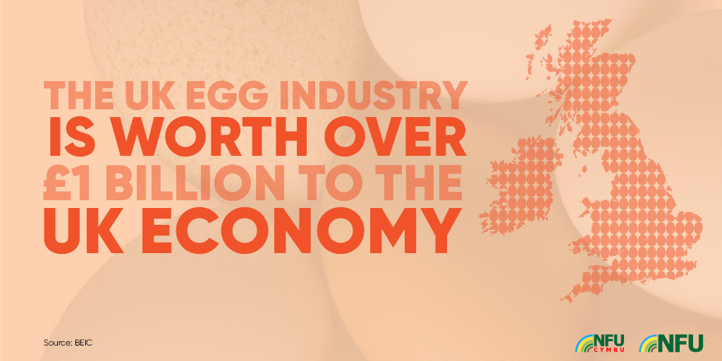 The UK egg industry is worth over £1bn to the UK economy