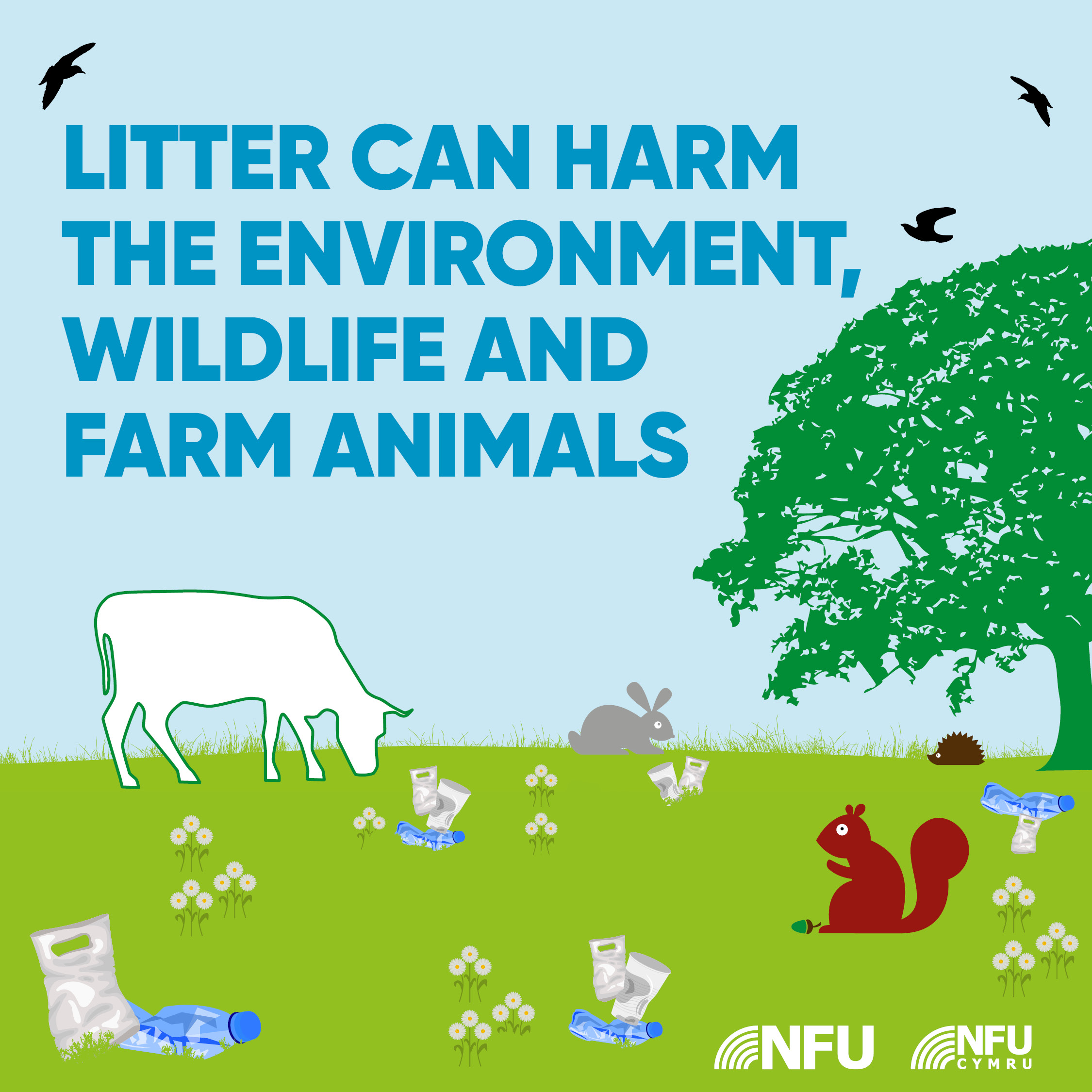 Litter can harm the environment wildlife and farm animals
