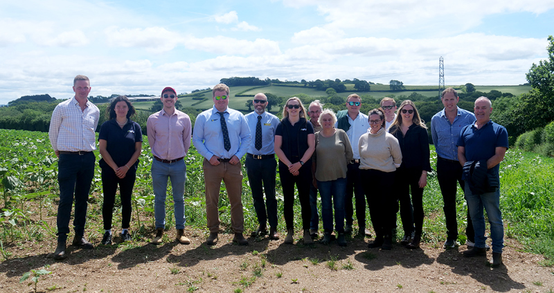 A group of people standing in a field on a sunny day