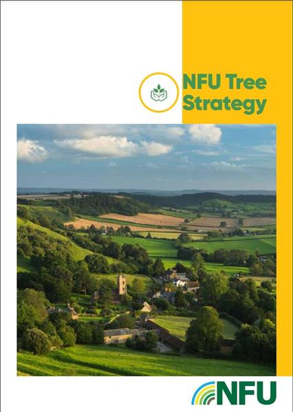 NFU Tree Strategy July 2021 Front Cover